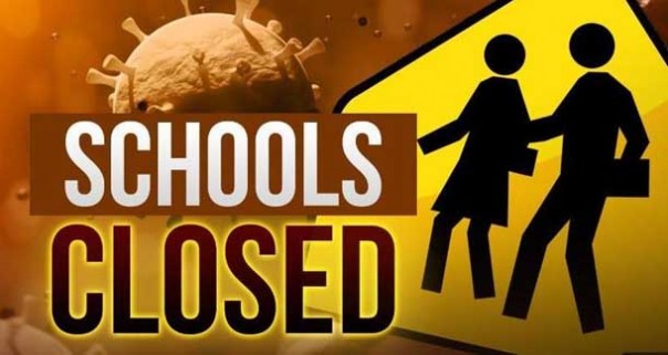 ZeroHedge: Нужны ли американцам государственные школы?