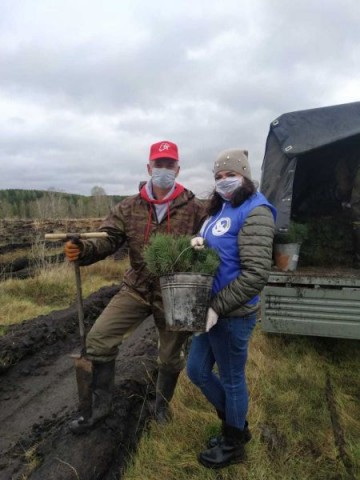 27 миллионов деревьев в память о 27 миллионах погибших на войне: акция «Сад победы» шествует по стране