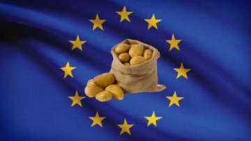 ЕС продал Украине картофель, подлежащий утилизации
