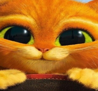 Львята обнаружили качели в саванне