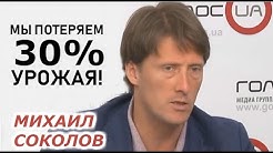 Аграрная катастрофа в Одесской области. Засуха 2020 угрожает Украине. Михаил Соколов