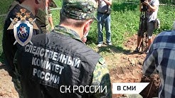В Псковской области обнаружено массовое захоронение времен ВОВ