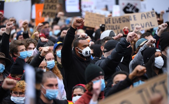 Революция баклажанов: взращивание чёрной биомассы