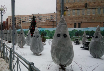 Йа расисто.