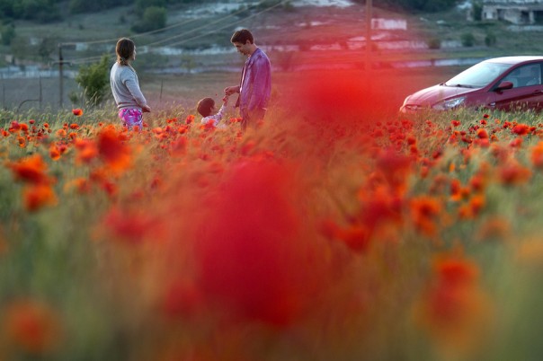 Кузнецова заявила о проблемах в получении семьями финансовой поддержки, доходящих до абсурда