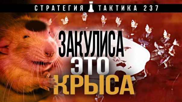 Глубинка с голубинкой. "Стратегия и Тактика" выпуск № 237