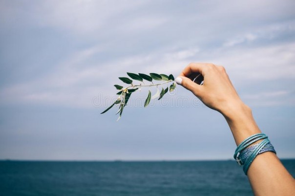 Греция готова отхлестать Анкару оливковой ветвью: Эрдоган продолжает вмешиваться в дела Ливии