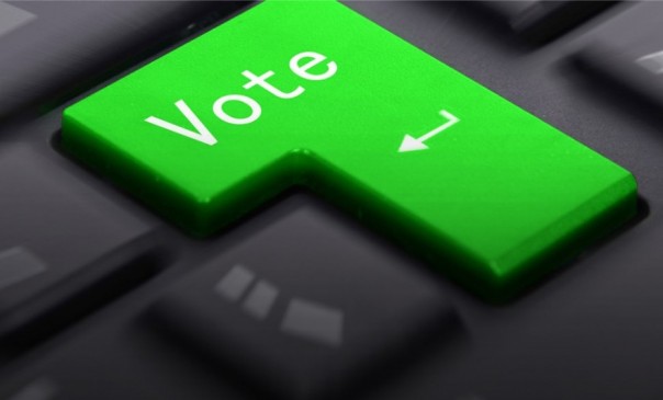 В Москве тестируют онлайн-платформу для голосования по поправкам к Конституции