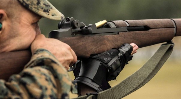 Чем винтовка отличается от карабина?