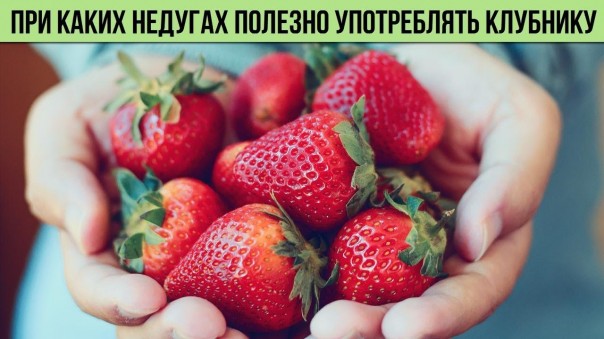 Вот при каких недугах полезно употреблять клубнику. Польза клубники для организма человека