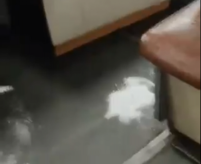 «Знаменитые гиперлупы снова в эфире». В Сети высмеивают видео из украинского поезда, заливаемого дождем