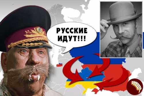 Зачем украинские генералы за Шойгу думают