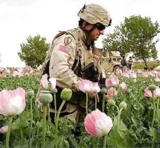 Афганистан: «борьба» США против наркотиков