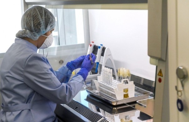 ВОЗ назвала единственное обнадеживающее лекарство от COVID-19