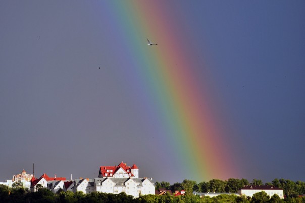 Радуга — это солнце после дождя, а не флаг ЛГБТ-сообщества