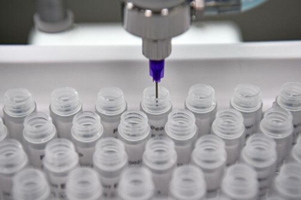 В России завершились испытания первой в мире вакцины от коронавируса