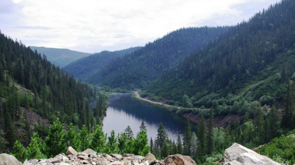 Фургал – не народный, а Дегтярева критикуют сходу. Что на самом деле происходит в Хабаровске?