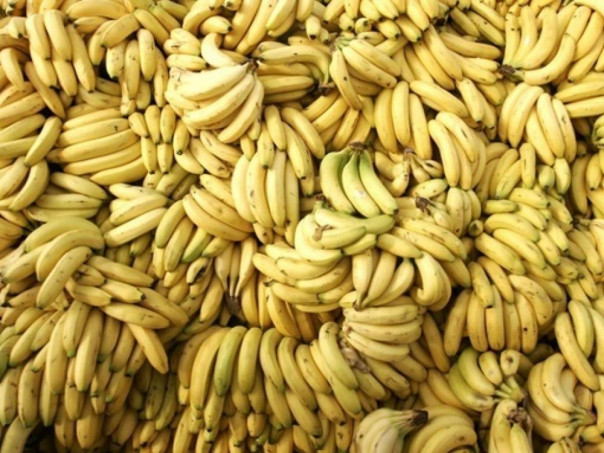 Голос Мордора: Илон Маск, спасибо за правду!