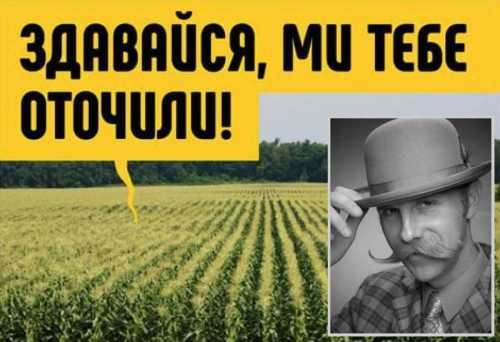 Антитеррористическая импотенция