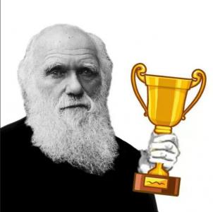 Сакральная жертва – последний козырь беломайдана