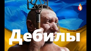 Дебилы | Позорище | Достойный ученик