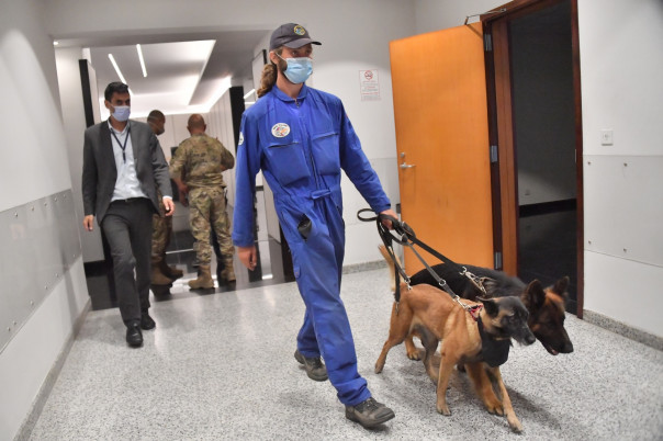 Кинологи МЧС РФ приступили к поиску пропавших людей под завалами в Бейруте