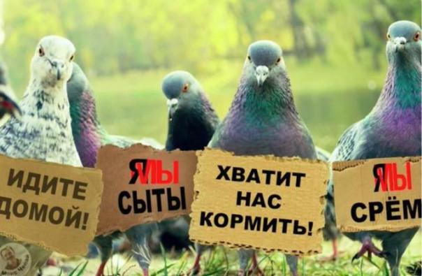 Про оппозицию