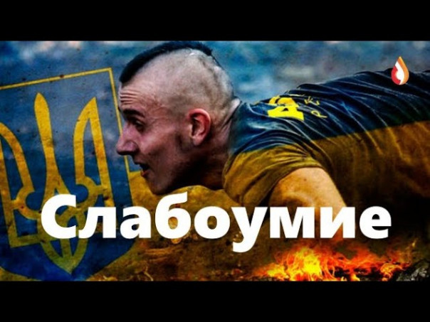 Слабоумие | Оправдания убогих | Шавки