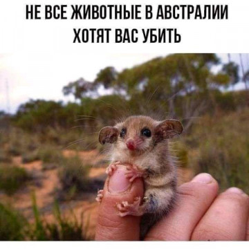 Весёлые картинки # 46