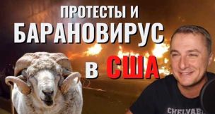 Барановирус. не мирные протесты в США | Что ждет Беларусь. Саня во Флориде | Как живет глубинка США? Полная жесть... Алекс Брежнев