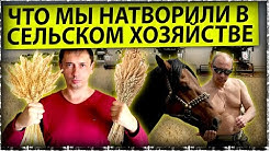 Что мы натворили в сельском хозяйстве | Россия мировой лидер экспорта