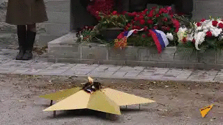 Цветы у ног Бронзового солдата: в Таллинне отметили годовщину освобождения от немецкой оккупации