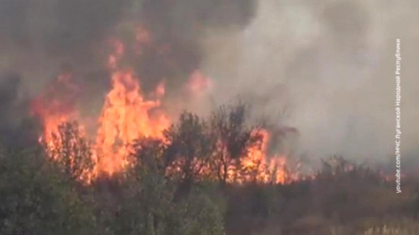 План не сработал: провокация украинских силовиков обернулась против них