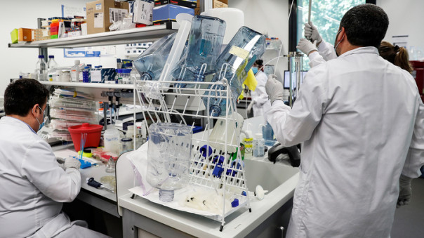 Найдено вещество, способное полностью нейтрализовать коронавирус