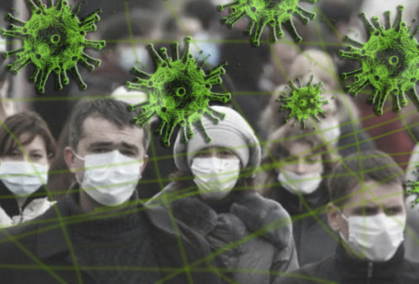 Программа "Партии Ковида"