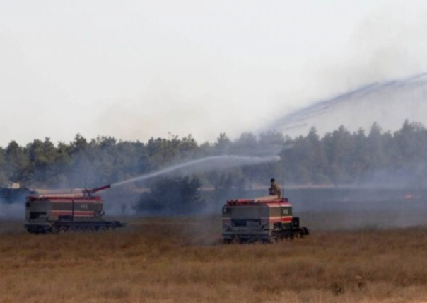 Из-за учебных стрельб ВФУ под Херсоном загорелся полигон