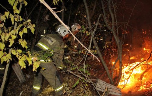 Крупный пожар причинил ущерб урочищу "Красновка" на востоке ДНР | Крупный пожар ликвидирован сотрудниками МЧС ДНР в Нижней Крынке