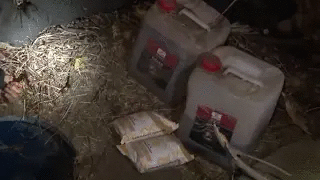 Спецназ помешал сирийской группировке совершить массовые теракты в Волгограде