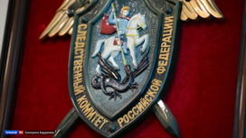 Взятки на грядке: гигантская афера бывшего губернатора Удмуртии | Глава администрации Выборгского района попался на мошенничестве в 700 миллионов