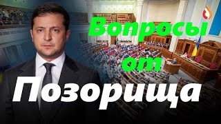 Вопросы от Позорища | Турецкий Гамбит | Цель существования колонии
