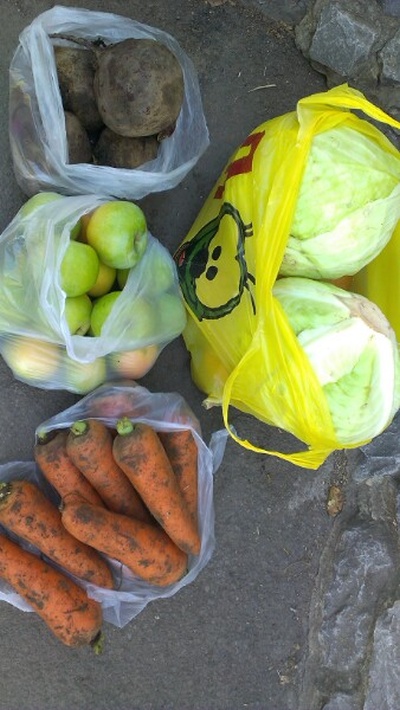 Животные не переживут зиму? Первый в Донбассе зоопарк взывает о помощи