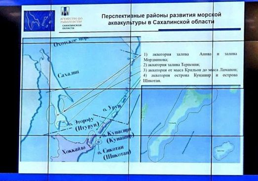 Уволен сахалинский чиновник «подаривший» Курилы японцам