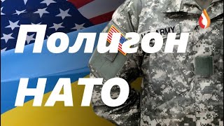 Полигон НАТО | Шоу "выборы" Украины | Трава - не наркотик?