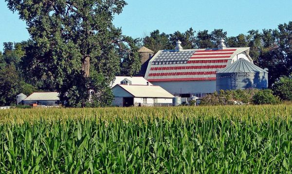 С голодом столкнулись даже американские фермеры – Reuters раскрывает масштабы катастрофы