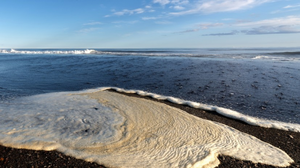 В пробах воды на Камчатке нашли превышение концентрации трёх веществ