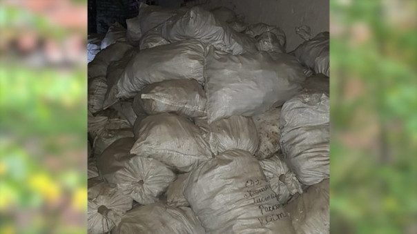 В одном из фортов Калининграда нашли 300 мешков с человеческими останками