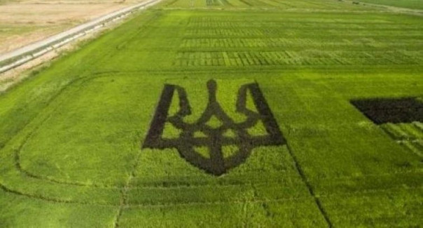 Кому принадлежит украинская земля. Александр Роджерс