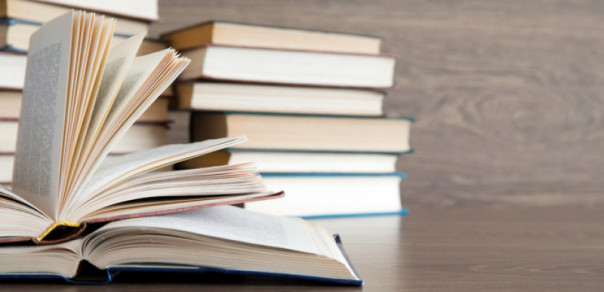 На Украине запретили ввоз трёх детских книг «за пропаганду российской и коммунистической символики»