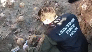 "Массовое захоронение в Миллерово". В Ростовской области возбуждено уголовное дело о геноциде мирных граждан в период ВОВ