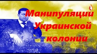 Манипуляции Украинской колонии | Шавки Маразматика | Иуды